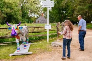 Two adult visitors look at a cow sculpture painted with a silhouette of the U.S.A. in many different colors