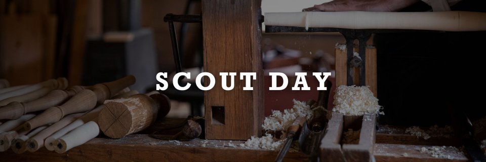 Scout Day