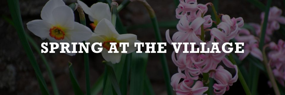 Spring at the Village