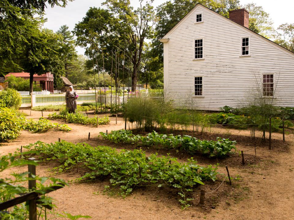 The Parsonage Garden